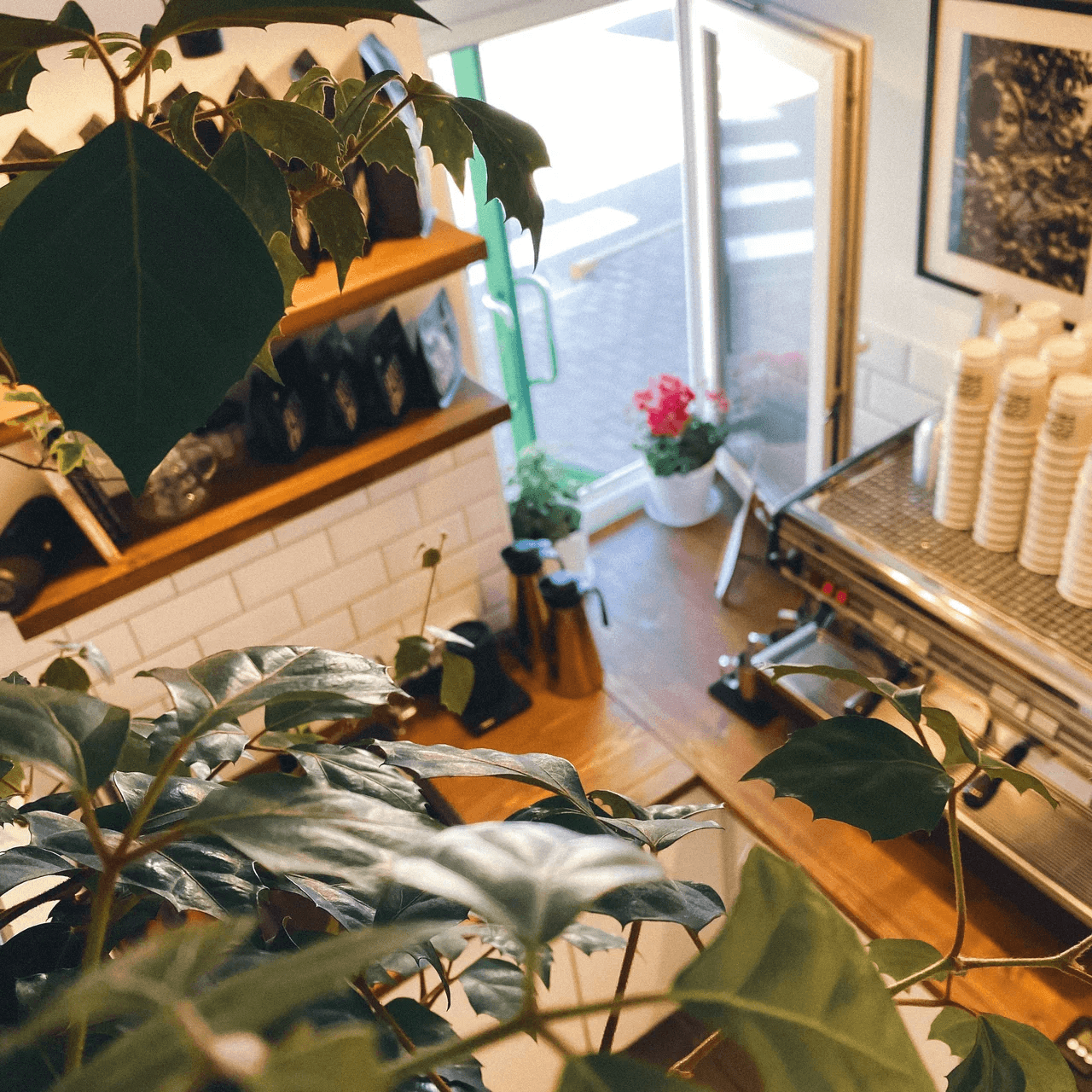 Аэростат Гудкова